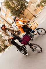 Faltrad Brompton C Line High Cloud Metallic 12-Gang
