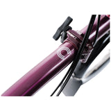 Faltrad Brompton C Line High Amethyst Lacquer 12-Gang